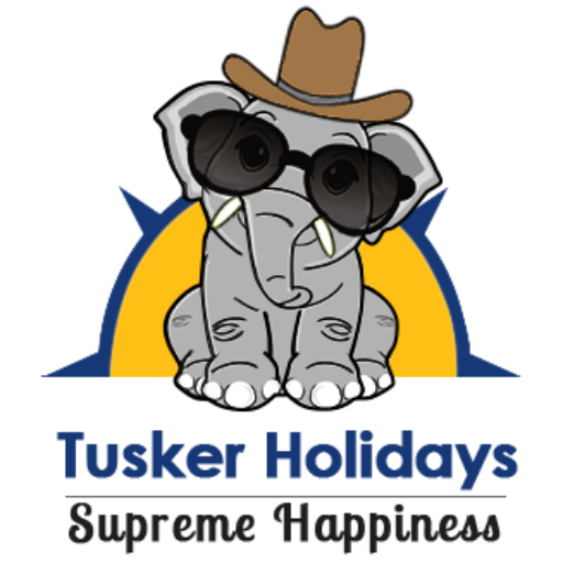 Tour Packages Tusker Holidays