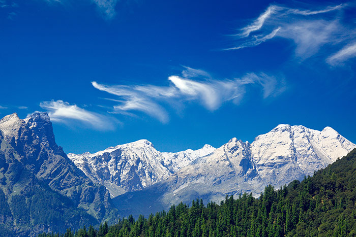 kashmir
